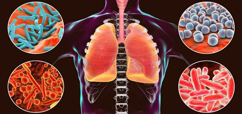 Pulmonology (Respiratory Medicine)